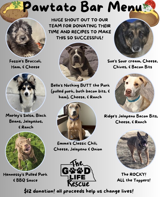 Potato Bar for Paws! Go Big Give Community Celebration 🎉 