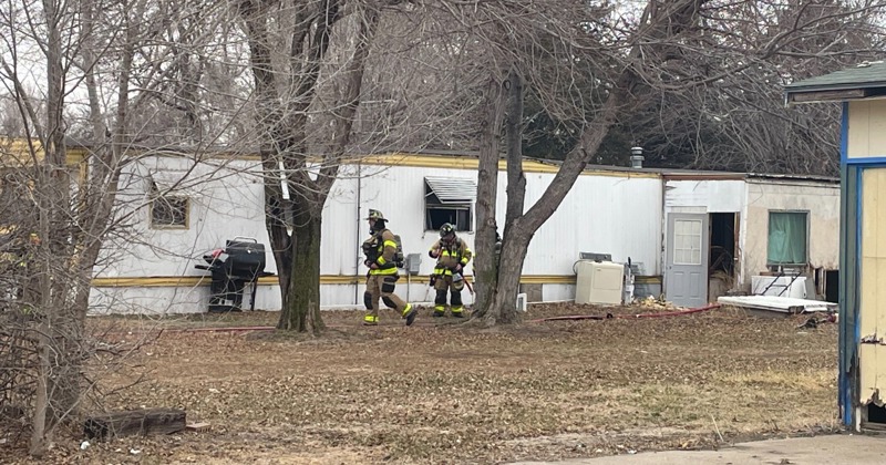 Puppies saved from Grand Island house fire